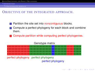 Antibes-dolphin-structuresmallcapsserif 12