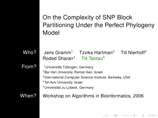 Bergen-structure-professionalfonts 01