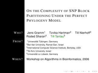 Bergen-structure-structuresmallcapsserif 01