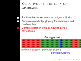 Bergen-structure-structuresmallcapsserif 12