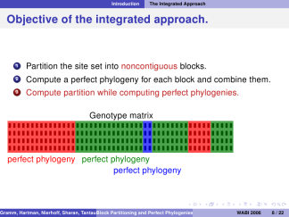 CambridgeUS-dolphin-structurebold 12