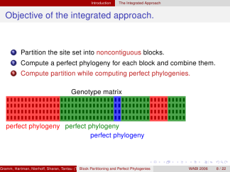 CambridgeUS-lily-default 12