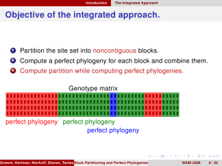 CambridgeUS-lily-structurebold 12