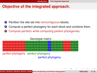 CambridgeUS-rose-structurebold 12