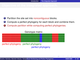 CambridgeUS-whale-structurebold 12