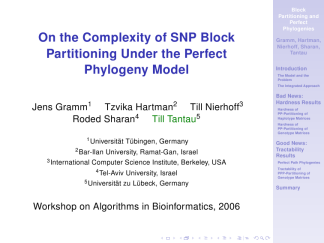 Goettingen-dolphin-structurebold 01