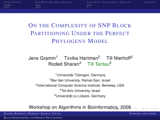 Ilmenau-lily-structuresmallcapsserif 01