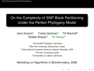 JuanLesPins-structure-professionalfonts 01