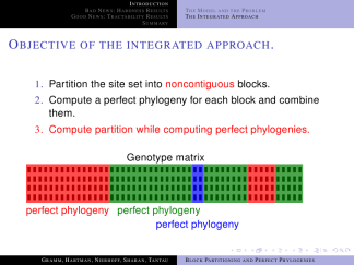 Malmoe-dolphin-structuresmallcapsserif 12