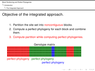 Montpellier-structure-professionalfonts 12