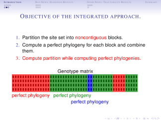Singapore-lily-structuresmallcapsserif 12