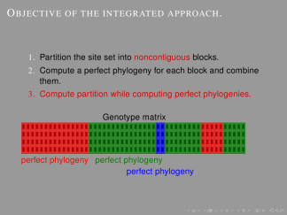 boxes-beetle-structuresmallcapsserif 12