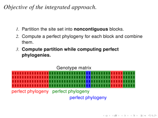 boxes-seagull-structureitalicserif 12